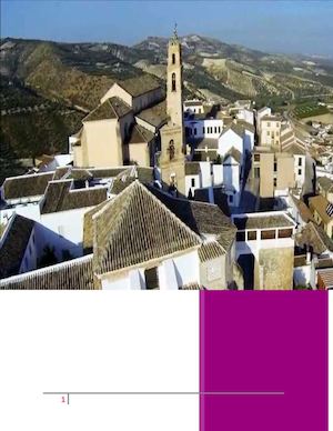 Situación Actual De Baena