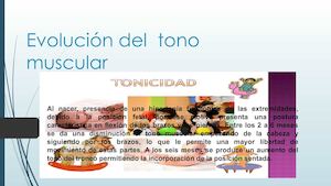 Evolución Del Tono Muscular Reveca