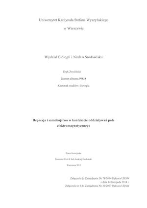 Eryk Zwoliński Praca Licencjacka