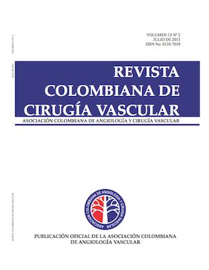 Revista 13 No 2