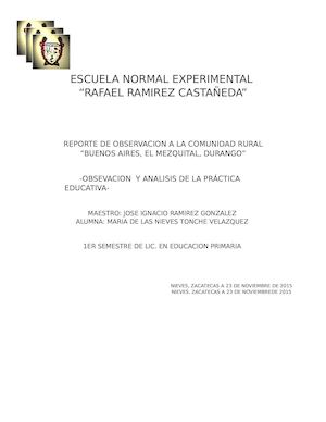 Reporte De Los Huicholes