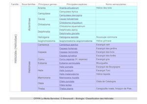 Classification Hélicidés