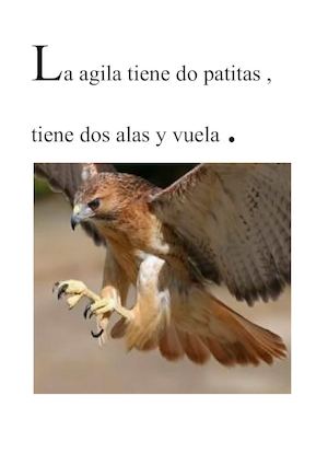 Compilacion Animales