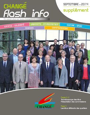 Flash Supplement Final