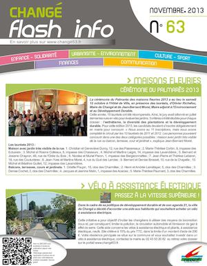 Flash Info Nov Web 2013