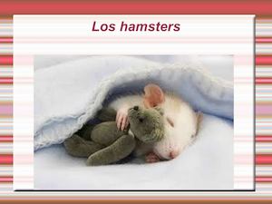 Los Hamster