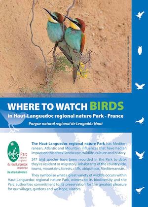 Where to watch birds in the Haut-Languedoc