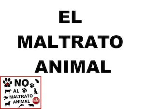 El Maltrato Animal