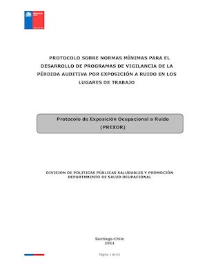 1 1 Protocolo Vigilancia Expuestos A Ruido Minsal