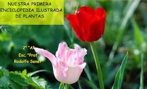 Enciclopedia de Plantas