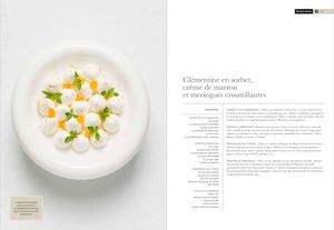 Dessert-  Clémentine en Sorbet