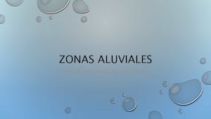 Zonas Aluviales
