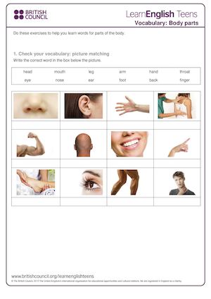 Body Parts Exercises (1)