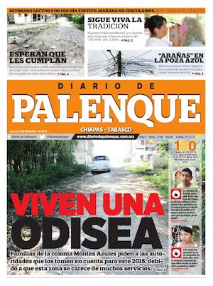 Diario 31/ 12/ 2015