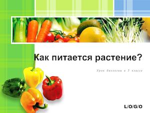 5 класс биология Питание растений Корневая система