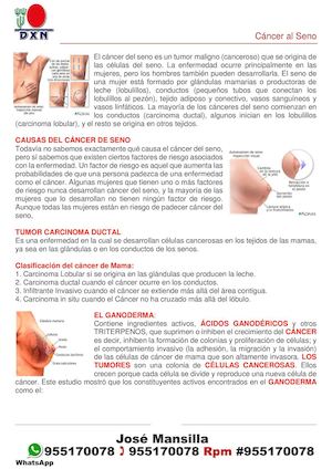 Cáncer Al Seno