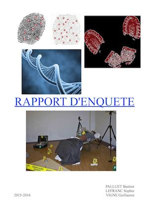 Rapport D'enquête