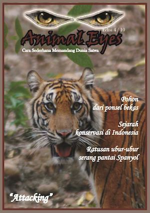 Animal Eyes edisi IV
