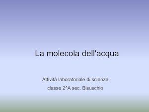 Molecola Acqua