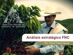 Análisis Estrategico Fnc Dina Franco
