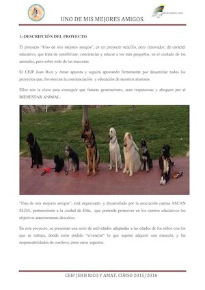 Proyecto Uno De Mis Mejores Amigos