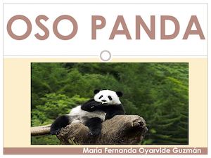 Oso Panda
