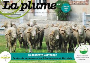 Plume N°87