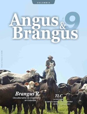 Revista Angus Y Brangus 9ª Edición Nov 12 2012