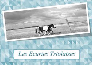 Ecuries Triolaises