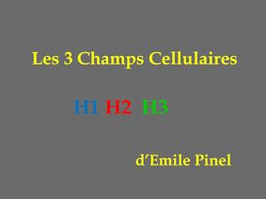 Les 3 Champs Cellulaires