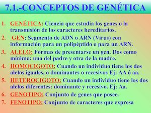 Tema 7 Genetica Mendeliana 1