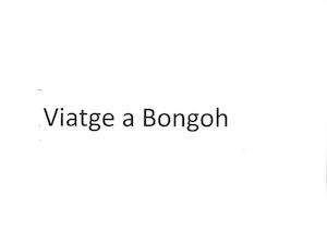 Viatge A Bongoh-Sant Nicolau 5èA