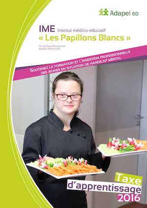 Taxe Apprentissage Ime Beauvais Web