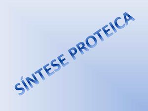 Síntese Proteica