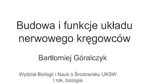 budowa i funkcje układu nerwowego