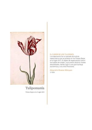 Tulipomania Alejandro