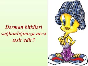 Derman Bitkileri