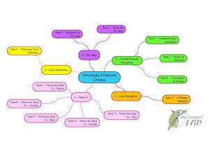 Mapa Mental Intodução à Medicina Chinesa