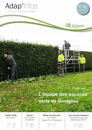 Adap'infos n°41