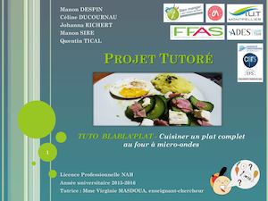 Présentation : Cuisiner un plat complet au MO (3 Astuces)