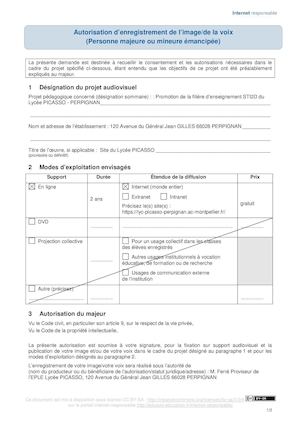 Site Picasso Autorisation Majeur Captation Image Majeur