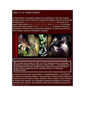 La Biodiversidad O Diversidad Biológica Es La Variedad De La Vida