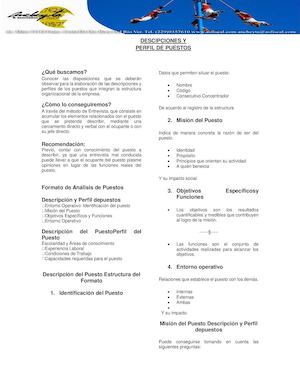 Descripciones Y Perfil De Puesto