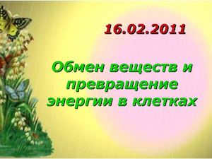 Открытый урок 10 Б