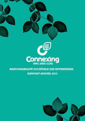 Rapport RSE Connexing