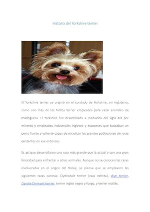 Historia Del Yorkshire Terrier