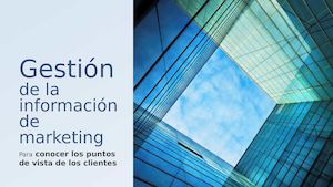 Gestión De La Información De Marketing
