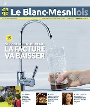 Le Blanc-Mesnilois n°5