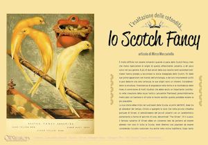 L'esaltazione delle rotondità… lo Scotch Fancy