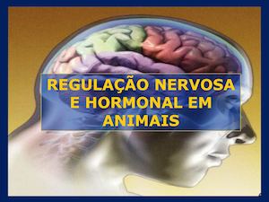 Coordenação Neuro Hormonal